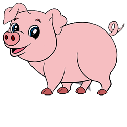 Pig