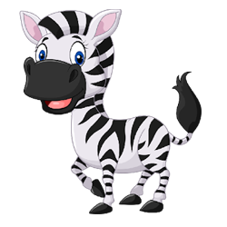 zebra